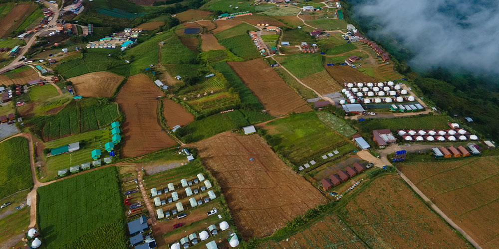 Holiday Homestay Cluster